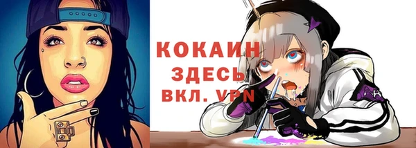 индика Белокуриха
