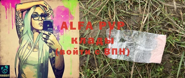 индика Белокуриха
