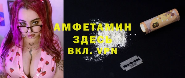 индика Белокуриха