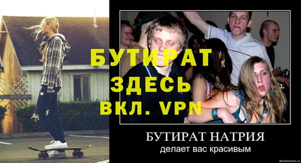 индика Белокуриха