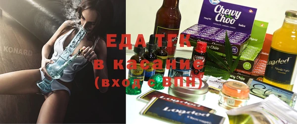 индика Белокуриха