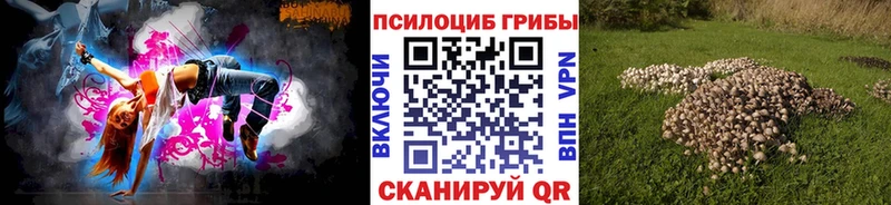 где можно купить   Волжск  Галлюциногенные грибы Cubensis 